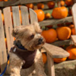 Meet your Posher, Cecilia